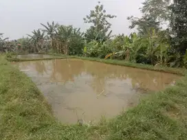 TANAH EMPANG DAN TANAH DARAT  MURAH DI PARUNG BOGOR