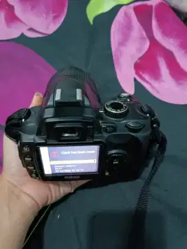 Kamera Nikon d50