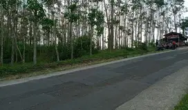 Tanah Kebon Jati Strategis Murah Sekali di Mainroad Cijapati Garut
