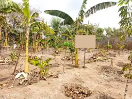 DIJUAL TANAH LUAS 336 m2 DI BANGSAL MOJOKERTO,SHM,DEKAT AREA INDUSTRI