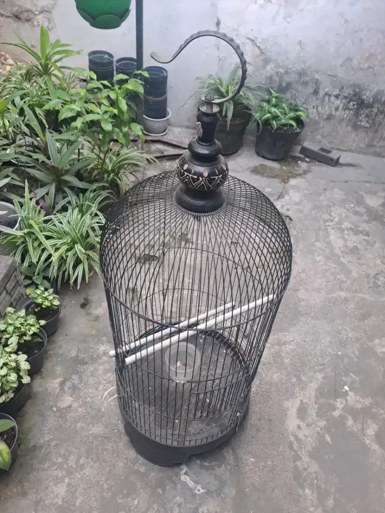 SANGKAR BURUNG Second