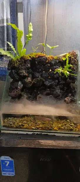 Aquarium paludarium