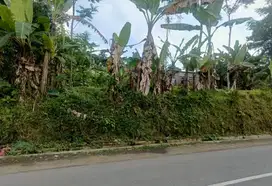 Tanah kosong jln raya Limpakuwus Sumbang Baturaden Timur Banyumas