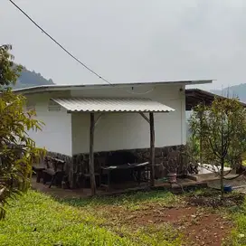 Tanah Luas + Kebun Duren Murah di Cijambe Kota Subang