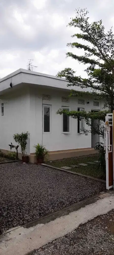 dijual rumah view sawah lokasi buduk mengwi