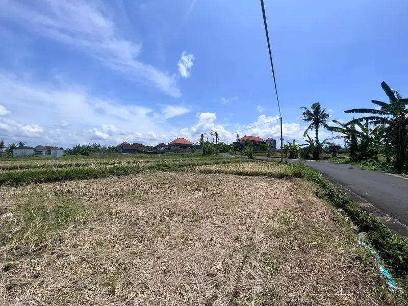 DIJUAL TANAH DI CANGGU TUMBAK BAYUH