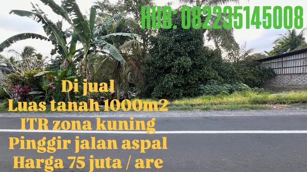 Tanah di pinggir jalan aspal kebun manggis dan durian datar