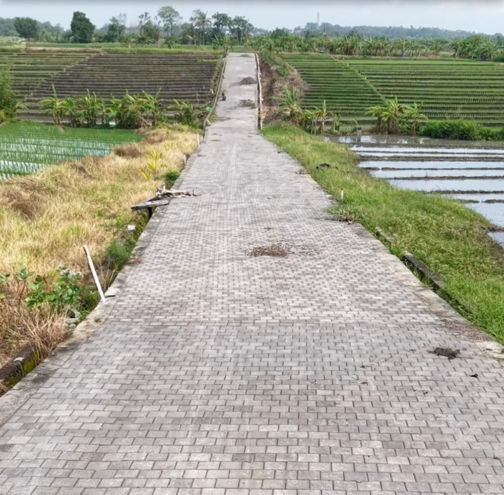 2 Kavling terakhir di pantai pasut Tabanan
