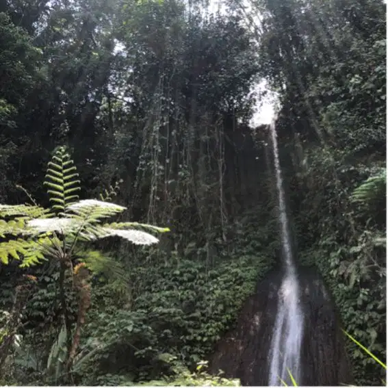 Air Terjun view sawah di Bali jarang ada