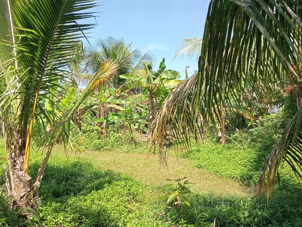 Dijual sebidang tanah perumahan view sawah terasering dan laut