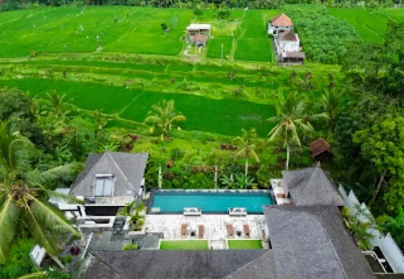 Villa view sawah Tegallalang ubud