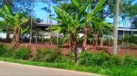 Dijual Tanah Istimewa Singorojo Kendal Jawa Tengah