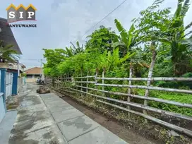 Dijual tanah jalan borobudur gang 4 belakang pemda banyuwangi