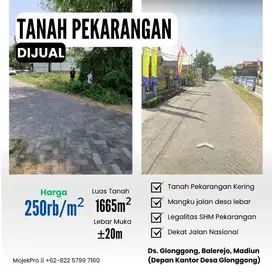 Tanah Pekarangan Murah di Balerejo