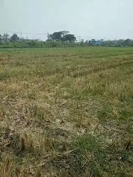 Jual tanah d Jombang bagus  banguna perum cluster .pesantren dll