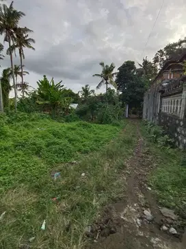Tanah Batuan Ubud Cocok untuk Rumah tinggal atau Gudang