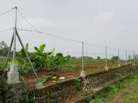Jual tanah kavling murah dibawah NJOP di kalierjo lawang dkt graha VNR