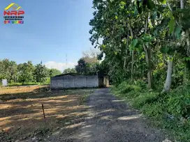 Dijual Tanah Kebun Strategis di Ds. Gitik, Rogojampi