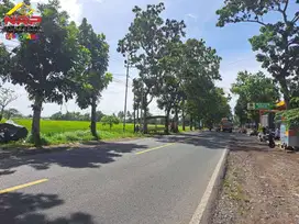 Dijual Tanah Sawah Produktif di Depan RSNU, Mangir, Rogojampi - Bwi