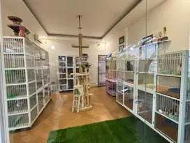 PENITIPAN/HOTEL KUCING