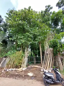 DIJUAL TANAH KAVLING EKSKLUSIF MURAH 250 m2