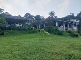 Rumah Bagus Luas Asri Murah Harga Dibawah Pasaran View Sawah Di Ciomas