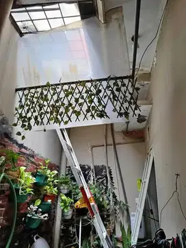 Griya Medoho Asri