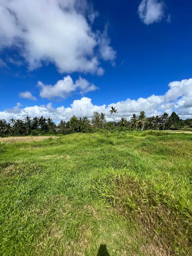 Dijual tanah kosong di Ubud Bali