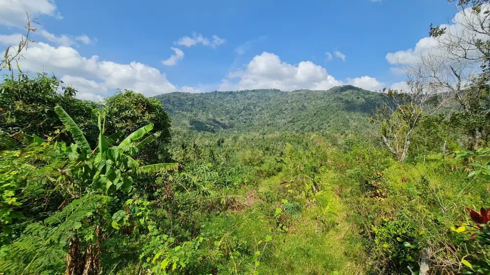 Dijual Tanah Lingkungan Tenang Busungbiu, Buleleng