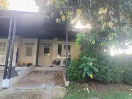 Sewa Rumah Di Forest Hill BSB Mijen Semarang
