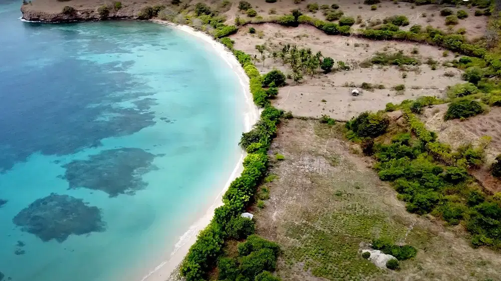 Tanah Pantai 10 Ha di Sumbawa Timur – Cocok Resort & Villa Investasi
