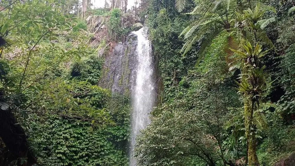 Tanah dengan view Air terjun , sawah dan jungle di tabanan bali