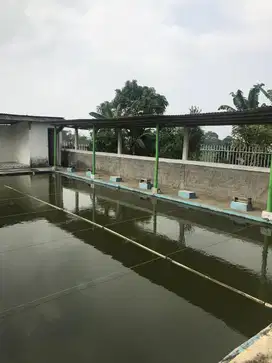 Dijual Gudang Kolam Ikan dan Kebun di Sukabumi Goalpara