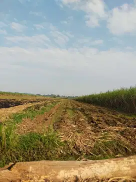 Juallahan produktif di Ngoro Jombang pengairan lncar dekat sungai