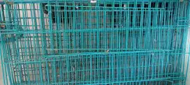 Jual Murah Kandang Kucing