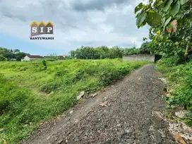 Dijual tanah kavling siap bangun di pusat kota rogojampi