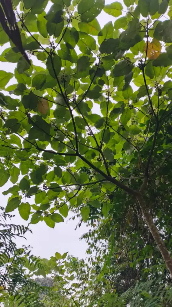 Mencari lowongan pekerjaan