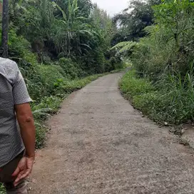 Dijual freehold tanah premium lokasi pancasari bedugul Buleleng bali.