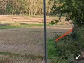Dijual sawah dekat Bina umat, bisa dipecah menjadi 3 bidang