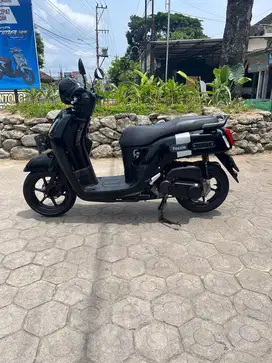 Fazzio 2023 keyless