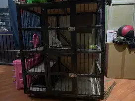 jual cepat kandang kucing
