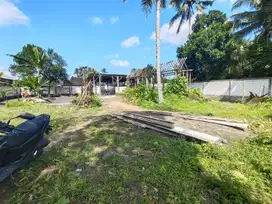 Land For Sale Nice View Sayan Ubud