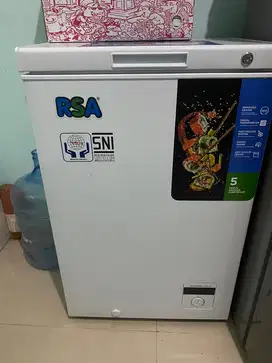 Freezer GEA RSA type CF 110