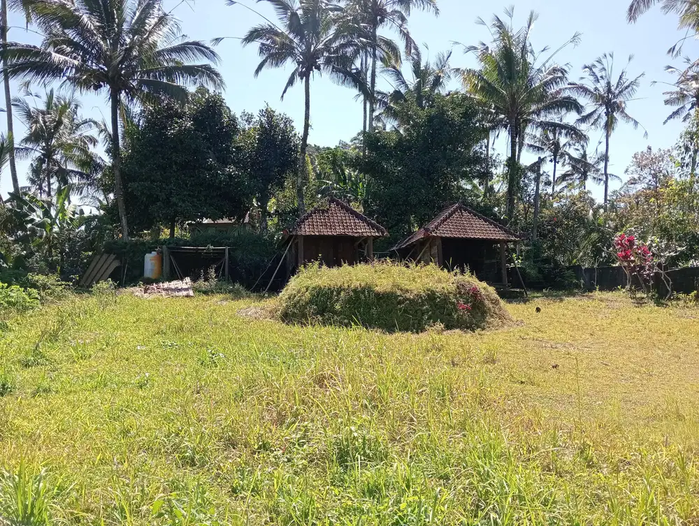 Dijual tanah bonus bangunan homestay di kec Pupuan,kab Tabanan bali