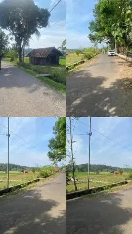 BISMILLAH  DI JUAL TANAH SAWAH  JUAL di bawah harga pasar