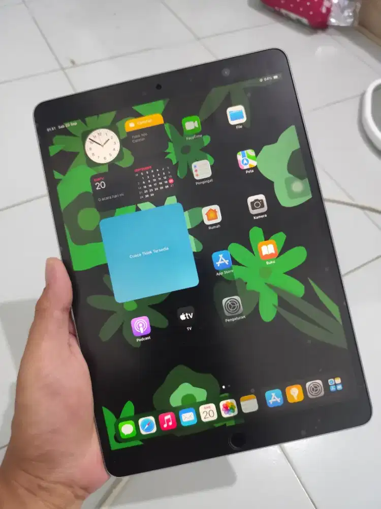 Ipad pro (10.5 inci) 256gb