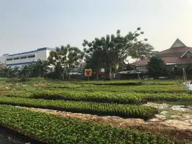 Strategis Jual Tanah di Bawah NJOP Sudah SHM Tanah di Karang Tengah