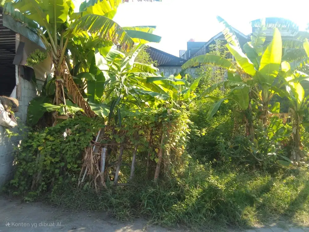 Jual Tanah Harga Global Luas 1.1are Lokasi Padangsambian Kelod DPS