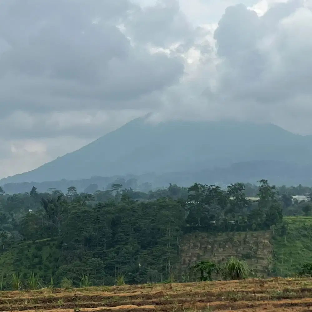 tanah di pelaga dekat pabrik wine view gunung