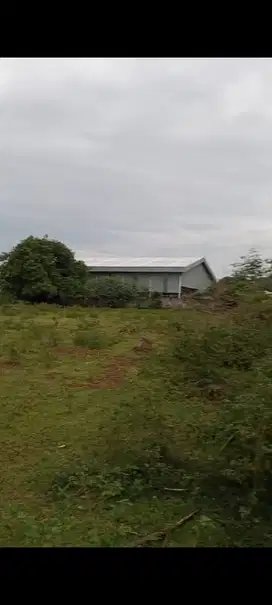 Tanah sangat murah di maloko tangerang cocok untuk pabrik dan gudang